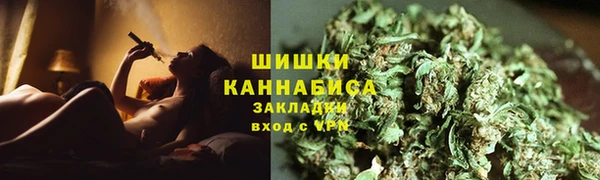 сатива Ельня