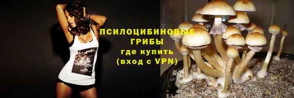 ALPHA PVP Елизово